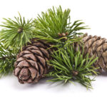 Что можно продать, чтобы заработать