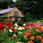 Какой бизнес открыть на даче