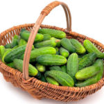 Как выращивать огурцы в теплице зимой