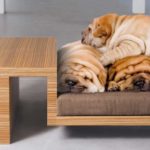 Несколько идей производства для малого бизнеса