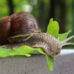 Несколько новых бизнес идей из Европы