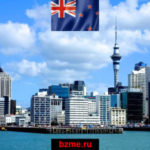 Какой бизнес можно открыть в Новой Зеландии: ТОП-7 идей